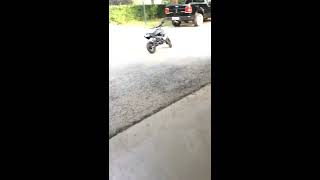 110cc pit bike Automatic