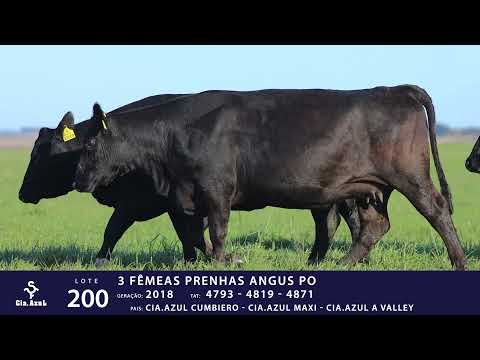 LOTE 200 - TAT 4793, 4819, 4871