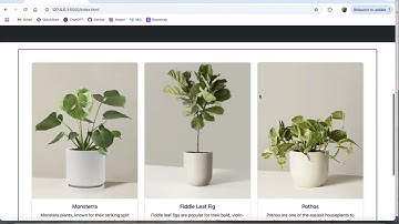 week03 bootstrap coding assignment video