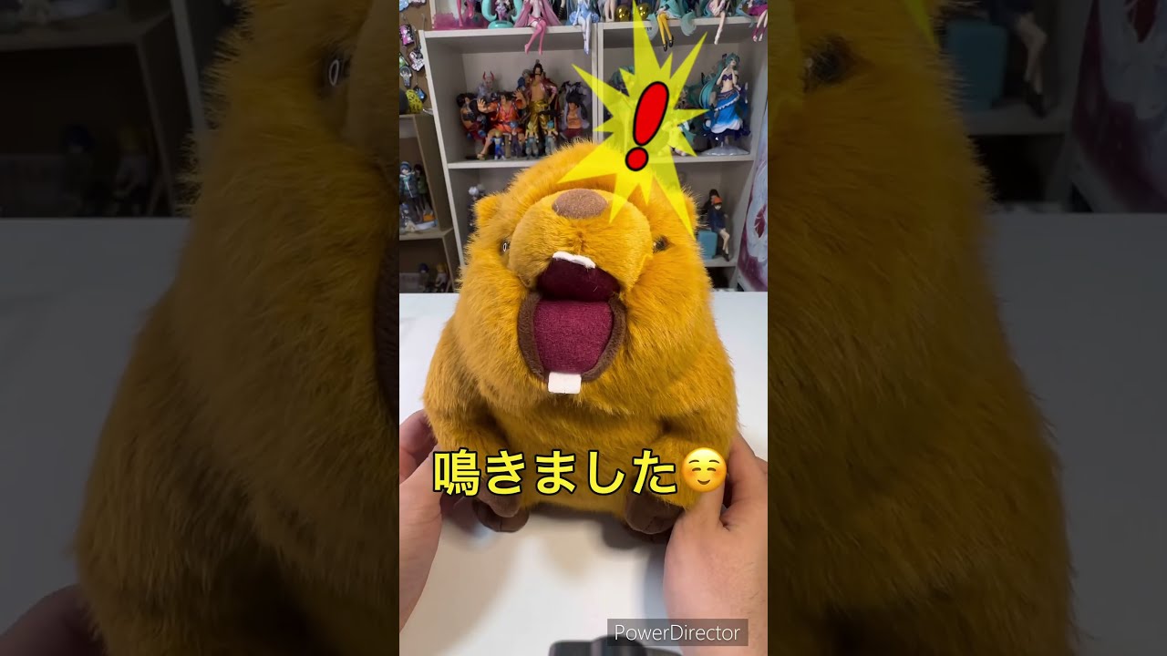 のもっとっと mottoto ウルトラBIG ぬいぐるみ もっともっと