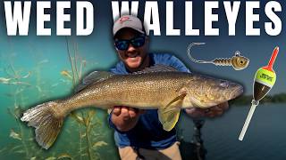 Weed Walleyes - 3 Types of Weeds & How to Fish 'Em