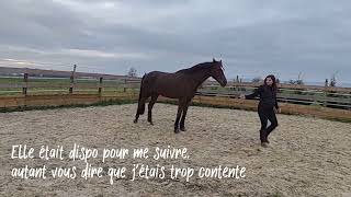 Petite Séance De Tap Du Jour A La Fin De La Vidéo Un Peu De Liberté Pour Lumina