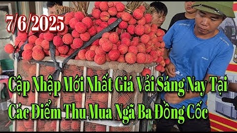 Báo Giá Vải Mới Nhất Sáng Nay 7/6/2025