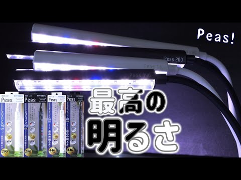 【LED照明】長くなって最高の明るさになったスティックタイプ。コトブキ ミニLEDピースロング140ブラックホワイト/200ブラックホワイト【ふぶきテトラ】