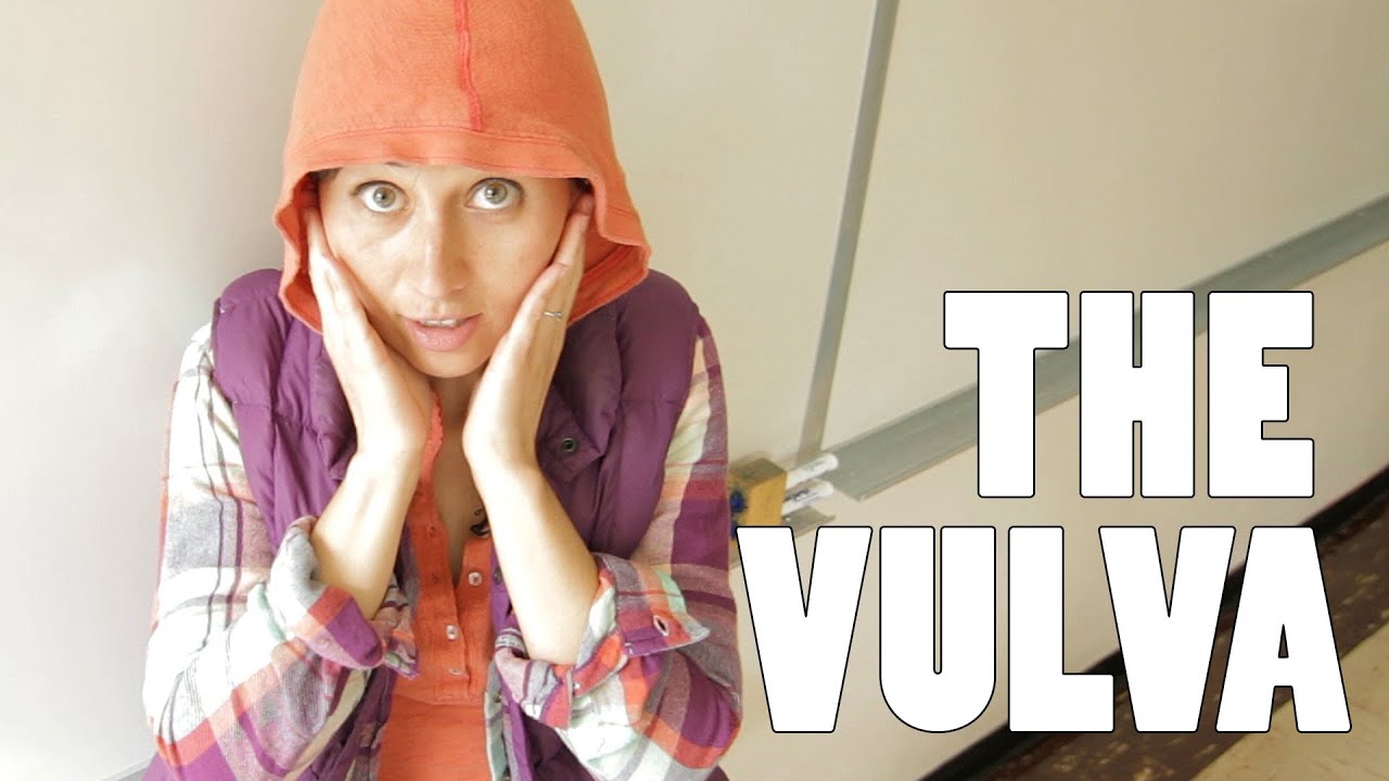 Fogyni vulva, A női szeméremtest – egy kis használati útmutató