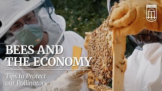 Bees and the Economy:Tips to Protect Pollinators
