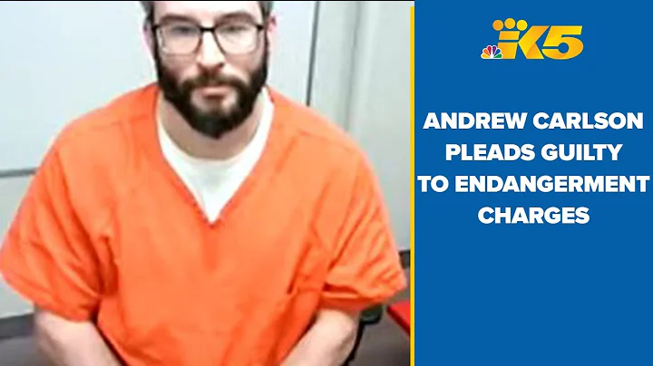 WATCH: Andrew Carlson pleads guilty to endangermen...