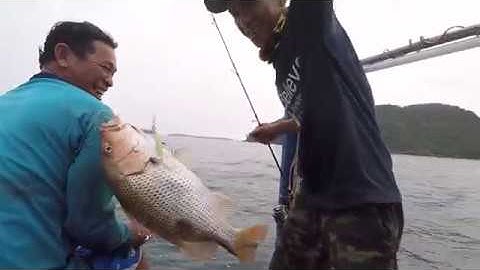 Câu cá Phú Quốc bằng cần Trung Quốc, gặp cái kết bất ngờ