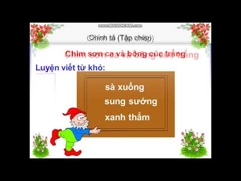 Chính tả 2 - Bài: Chim sơn ca và bông cúc trắng (Tiếng việt 2 trang 23)