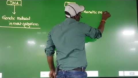 Molecular Basis of Inheritance Lec_1 by Dr Sunil Kumar NEET UG