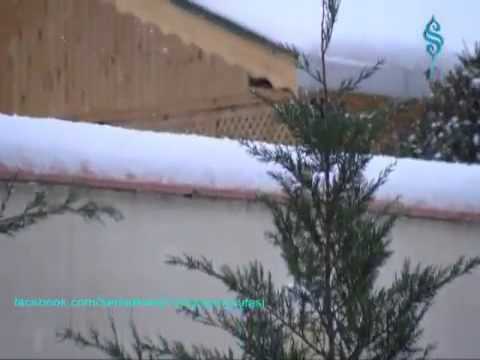 Ne g zelsin GAVS SAN ilahisi