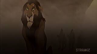 scar