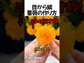 世界でバズった薔薇の作り方#shorts