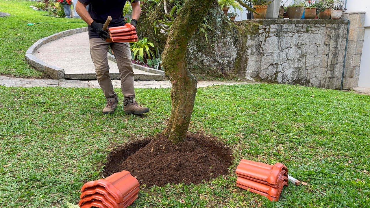 ПЕРЕРАБОТАННЫЙ САД: Превратите мусор в красоту! #2