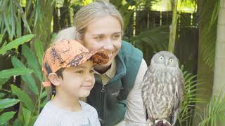 Meet Nuebi our adorable barking owl!