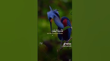 #القرآن_الكريم #تلاوة_هادئة #تلاوة_خاشعة #ياسر_الدوسري #اكسبلور