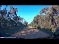 Ooh dear a deer 😱#DashCam #ShockingMoment #DeerOnRoad #CaughtOnCamera #RoadAccident #Unexpected