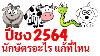 ปีชง 2564 ปีไหนชงตรง ปีไหนชงร่วม แก้ชงที่ไหน ไหว้ด้วยอะไร