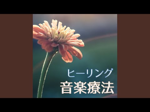 Regardez 心を浄化 sur YouTube