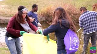 RLC- Green Campus Cleanup