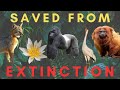 5 Species SAVED from EXTINCTION (Part 3)
