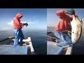 INCREÍBLE PESCA DE JURELES CON CAÑA y CUERDA MANO