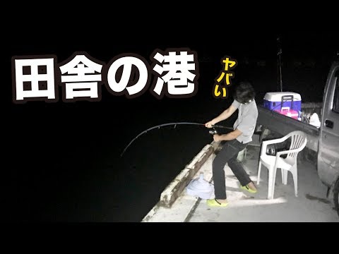 歩いてすぐの港に釣り人憧れの大物がいた