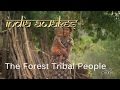 India awakes  the forest tribal people