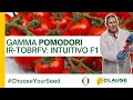Gamma pomodori irtobrfv  ciliegino intuitivo f1 chooseyourseed  hmclause
