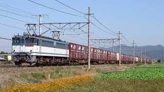 JR貨物 EF65-2117 貨物列車 (5087レ JR貨物更新色 赤プレ) 安土－近江八幡