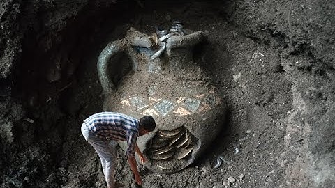 Uncovering the Turtle