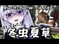 【冬虫夏草】知る人ぞ知る"幻"のキノコを探したら意外な結果に…!?!??【VEE/亞生うぱる】