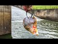 My Most INSANE Spillway Catch YET!!! (After FLASH FLOODING!)