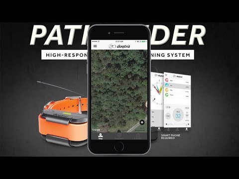 dogtra pathfinder test