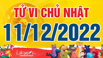 Xem tử vi hàng ngày - Tử vi Chủ Nhật ngày 11 tháng 12 năm 2022 của 12 con giáp AI MƯU SỰ DỄ THÀNH