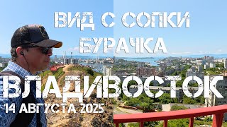 картинка: Владивосток сопка Бурачка второй фрагмент,14 августа 2025