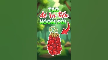 Trái ác quỷ nào dễ kiếm tiền trong đời thực #shorts #anime #onepiece #traiacquy