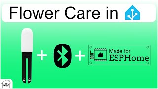 Xiaomi Flower Care HHCCJCY01 Pflanzensensor mit Passive BLE oder ESPHome in Home Assistant einbinden screenshot 3