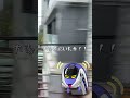最後の『AMBITIOUS JAPAN!』20年間ありがとう。