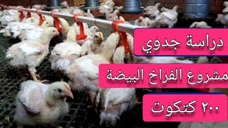 دخل شهري من البيت | دراسة جدوي ٢٠٠ كتكوت | تربية الفراخ البيضاء