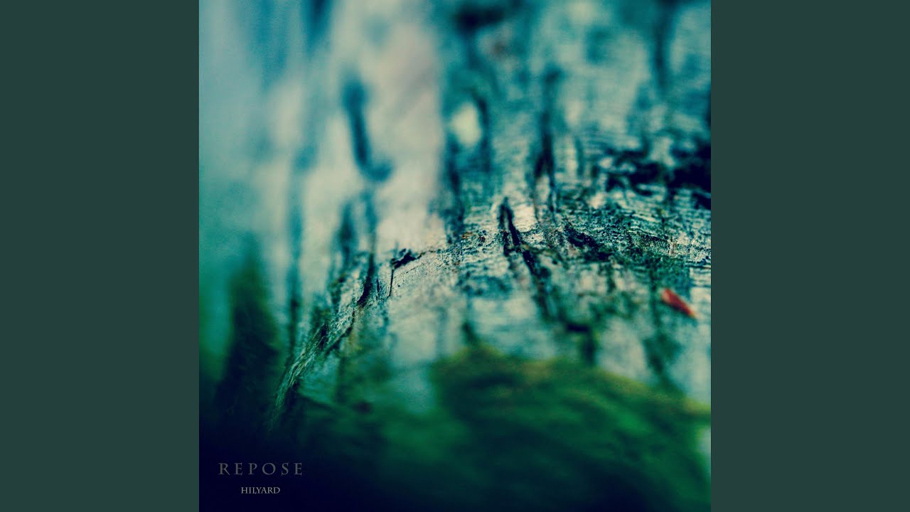 Repose IV
