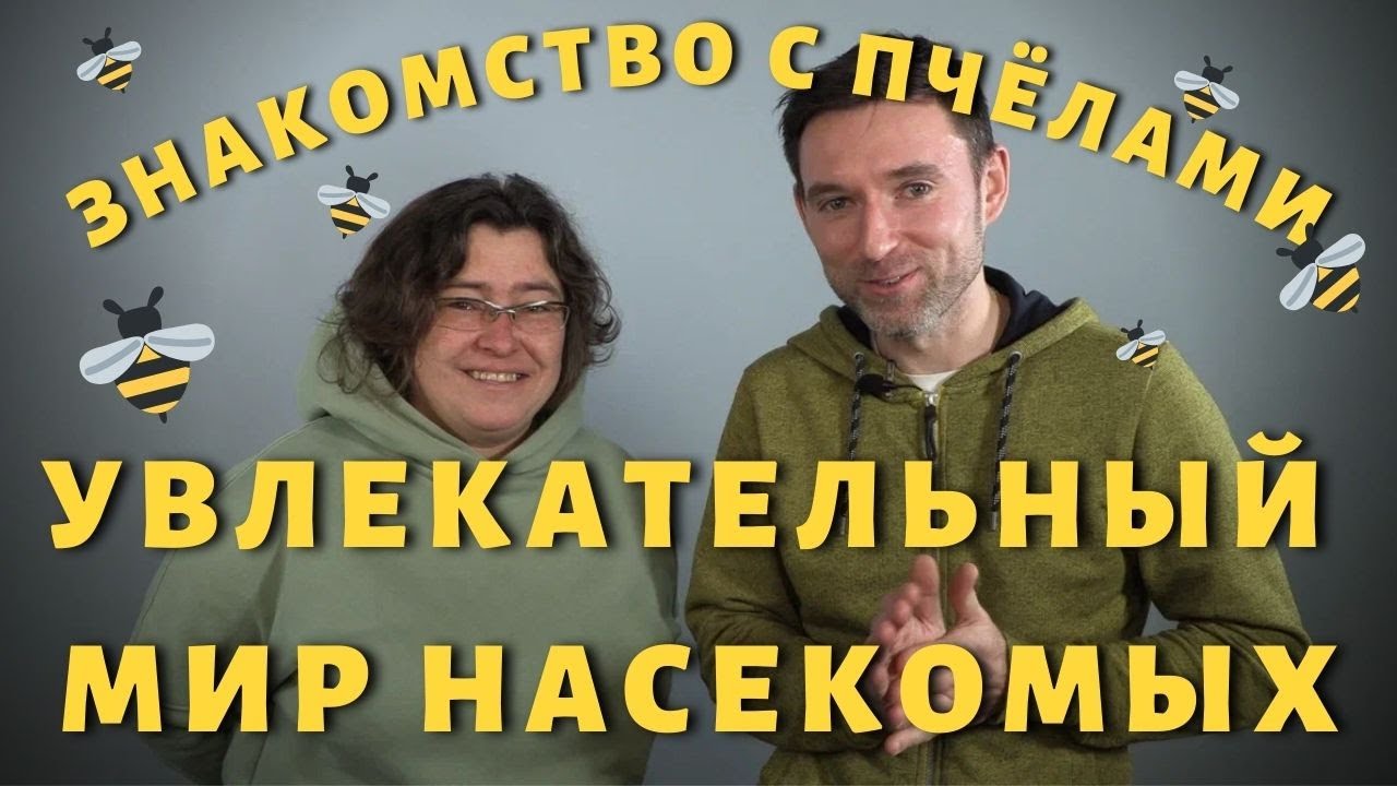 Перевернулась машина с пчелами