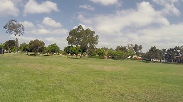 Blade 230s v2 Inverted Crash