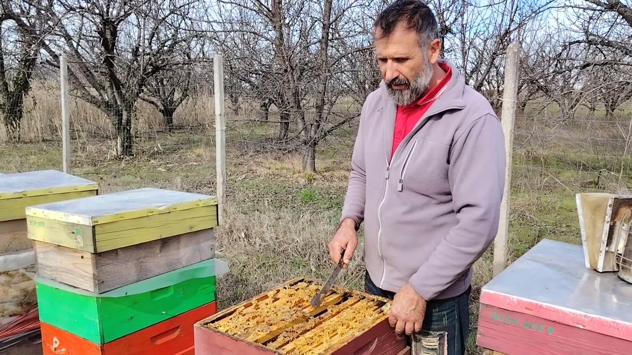 Преглед на хранителните запаси. Фарар. Пчелна ферма Боянови