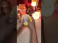 was covered squishies *but the layers increase each time* #asmr #squishy