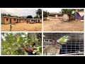 African Village Vlog: I got the perfect location for my African Village Vlogs