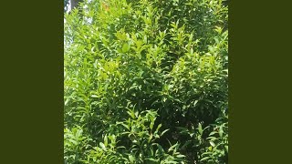 Rindu pertemuan bersama