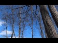 ドヴォルザーク 交響曲第9番新世界第3楽章 Dvorak:Symphony No.9-3