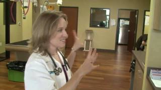 Med-Tech Construction - Veterinary [HD]