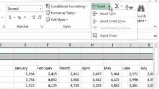 Inserting Columns and Rows in Excel 2013